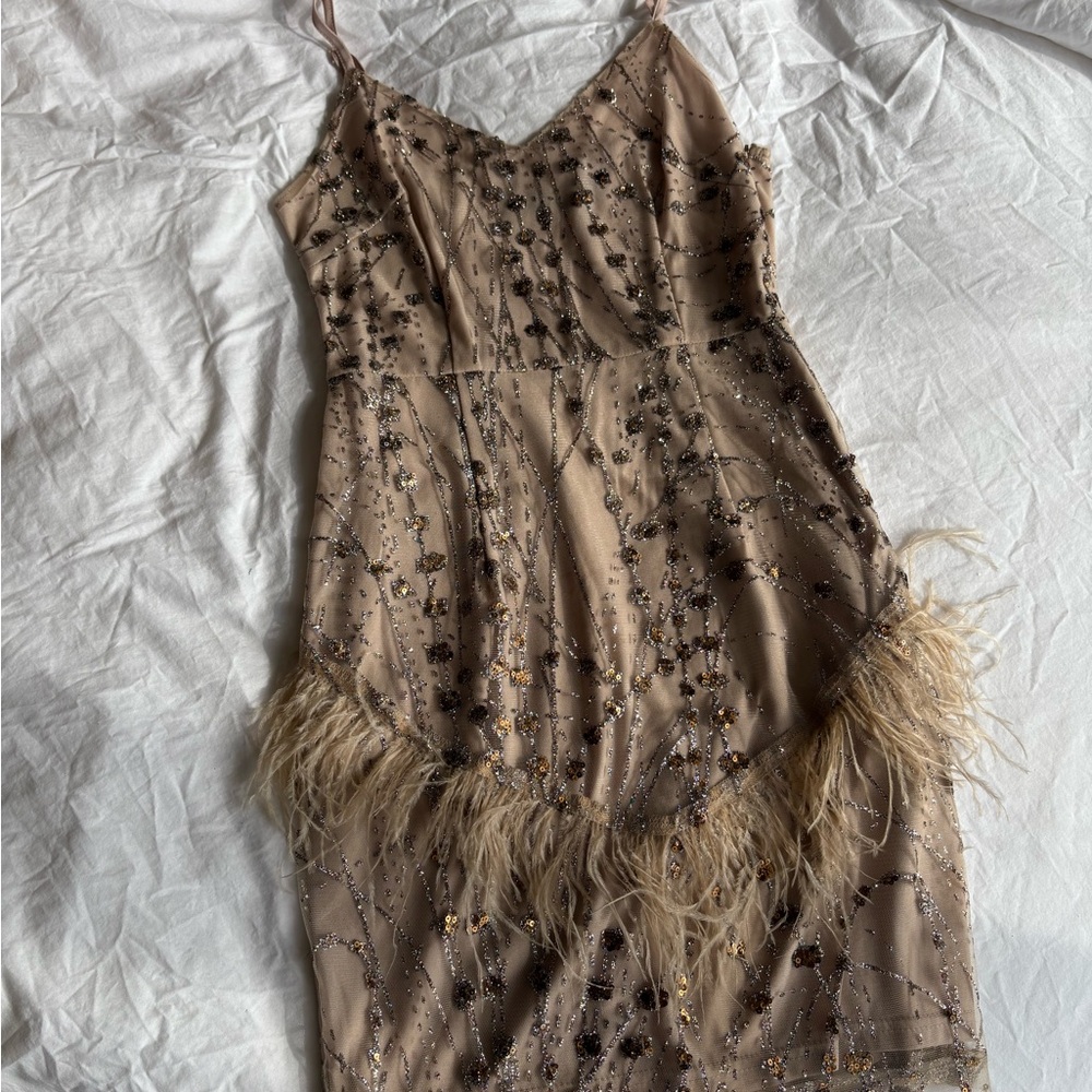 Elegant Beige Embellished Dress